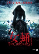 揭秘《第五人格》的角色分析：如何选择适合你的角色